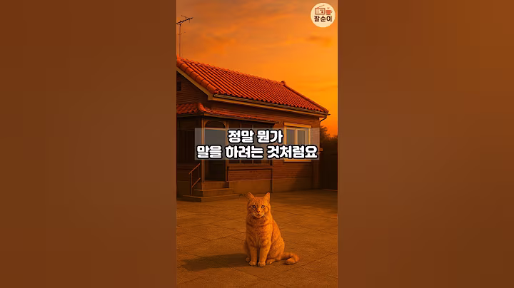 할머니가 고양이를 따라간 이유  #시니어썰 #감동사연 #고양이