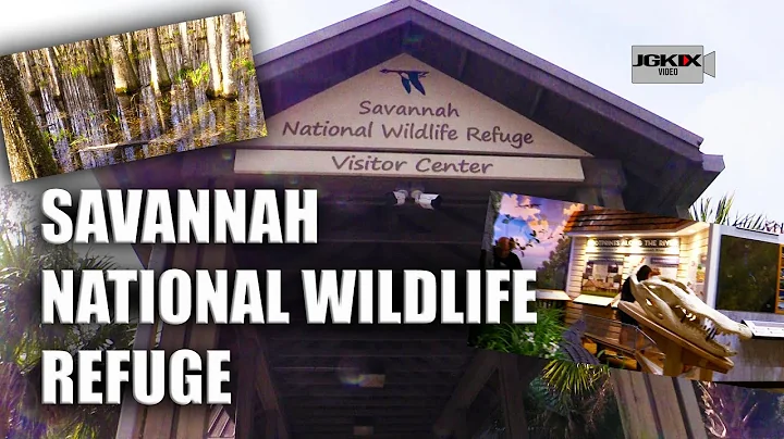 Savannah National Wildlife Refuge GA