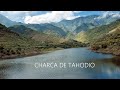 Camino de la Charca de Tahodio