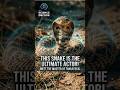 Meet the Snake That Fakes Its Own Death! #Science #SnakeFacts #HognoseSnake #Wildlife #DidYouKnow