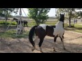 rancho tres potrillos de Vicente Fernández  4k