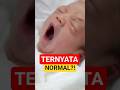 Ternyata tubuhmu sering melakukan ini 😳