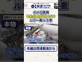【オメガ鑑定】プロは1秒で見破る。その石本物？偽物が真似できないルビー