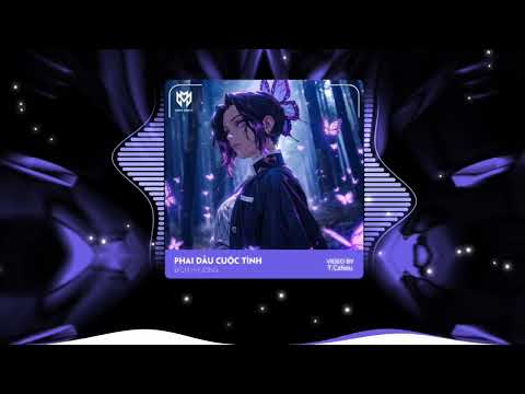 CÒN GÌ ĐÂU ANH HỠI... || PHAI DẤU CUỘC TÌNH - BÍCH PHƯƠNG ( T.BYNZ REMIX )