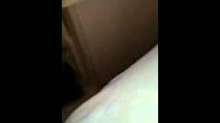 Bed Squeaking Dolberry Realty