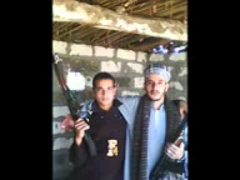 عزت حنفي