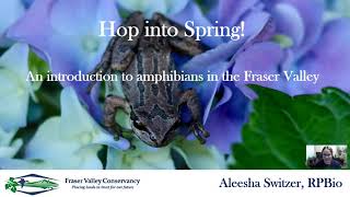 Hop Into Spring: Frog Identification Workshop