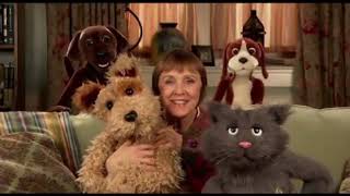 Mustard Pancakes Textless Footage