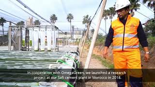 HeidelbergCement Group: Microalgae Project