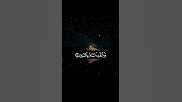 كلا إذا بلغت التراقي _ القارئ _ سلمان عبيد المطيري