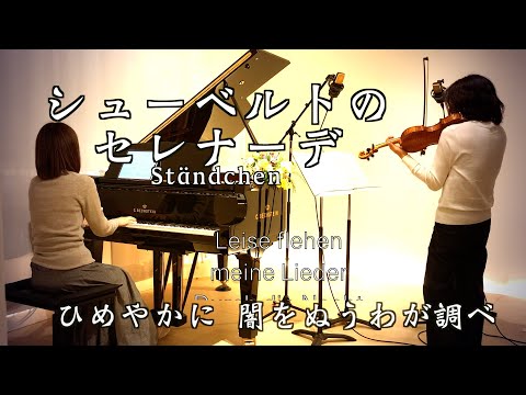 シューベルトのセレナーデ Ständchen】『白鳥の歌（Schwanengesang