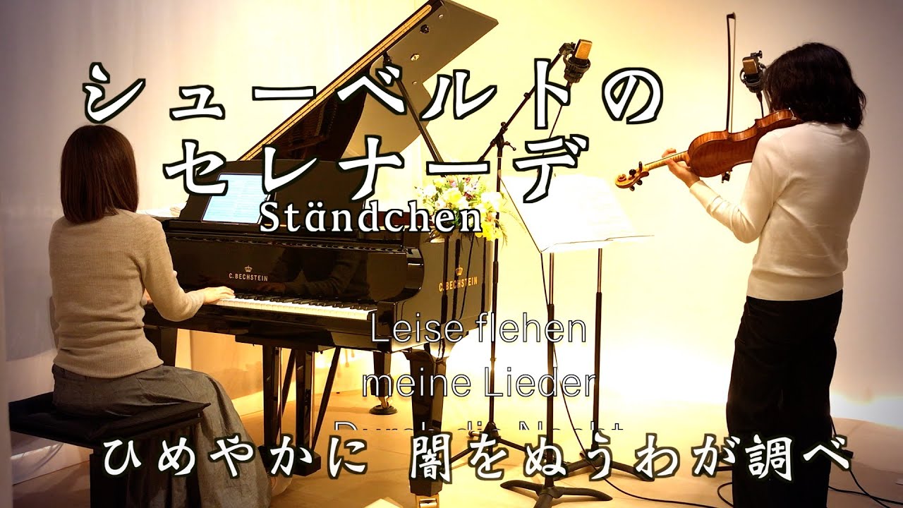 シューベルトのセレナーデ Ständchen】『白鳥の歌（Schwanengesang