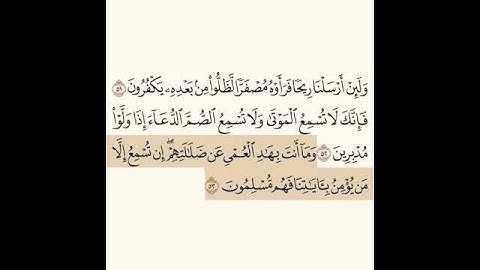 تلاوه الايات(٥١-٥٣)من سورة الروم بصوت محمد أيوب