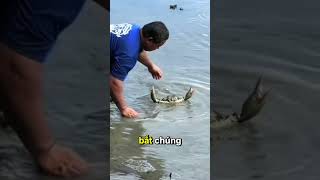 Cách Bắt Cua Để Không Bị Kẹp