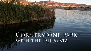 CornerstonePark with the DJI Avata