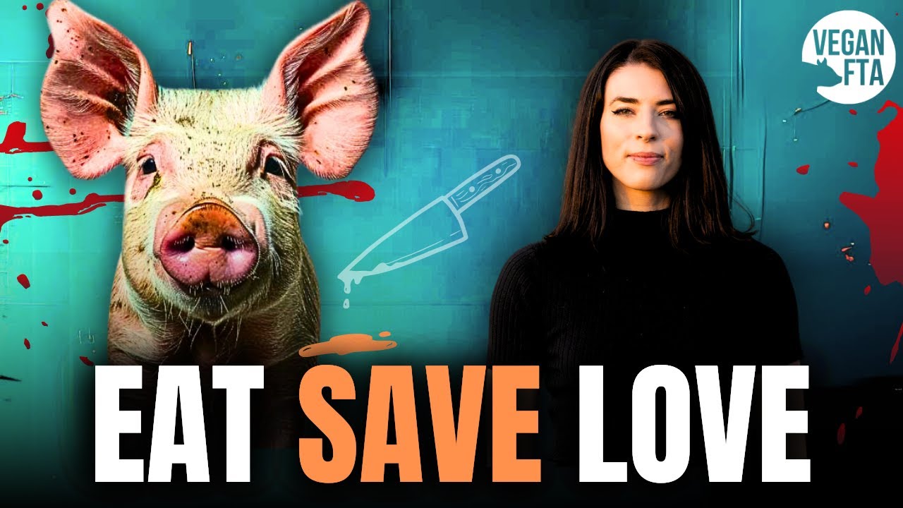 Eating Animals is Not Morally Justifiable: How to Lay the Groundwork ...