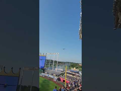 Blue Angels Fat