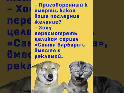 #юмор #анекдоты #смешноeвидео #мем