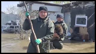 Кызылординцы продолжают работу на даче “Зенит” и “Волна" в городе Уральске