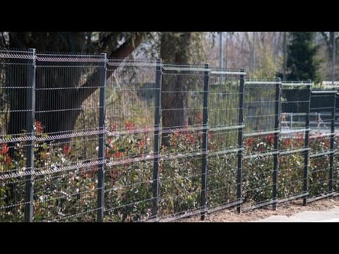 Kitchen Gardening - Fence Fixing||باڑ لگانے کا طریقہ