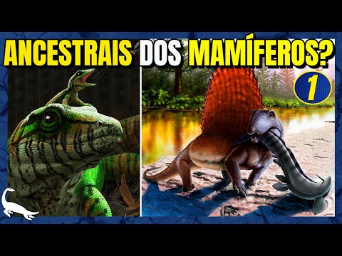 Vídeo: Durante qual era os mamíferos se desenvolveram?