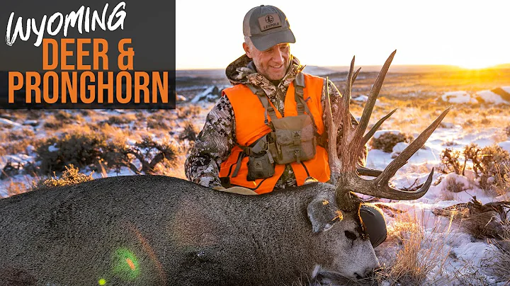 How to Draw A Tag in WYOMING! - Deer & Pronghorn A...