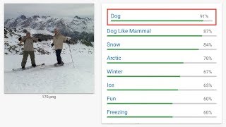 Fooling Neural Networks 1000x Faster