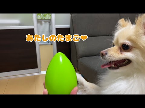 橋本 コンビニ バイト