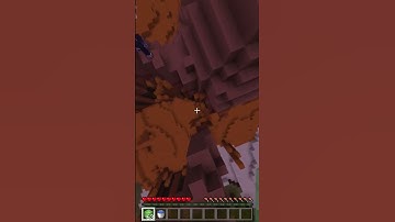 tricks on a Mesa biome #minecraft