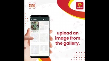 Scan Anything With Practically | #StopSearchingStartScanning