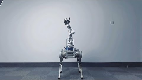What X20 Robot Dog Can Do With its Robotic Arm?