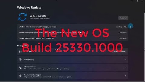 The New Windows 11 OS Build 25330
