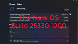 The New Windows 11 OS Build 25330