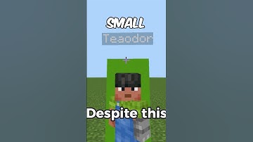 The Best Minecraft PvP Settings...