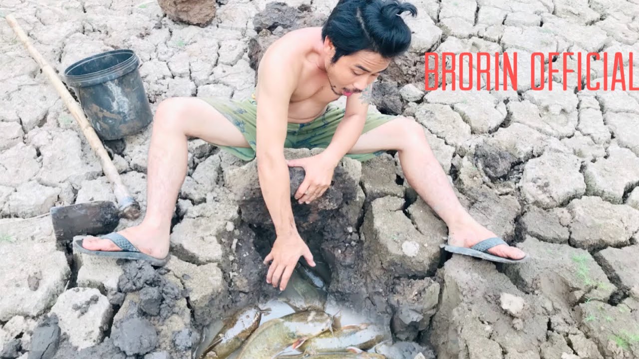 Amazing fishing video 2021|catch a lot of fish in the land |Top fishing /BroRin Official