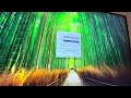 CPU-Z Benchmark | Ryzen 9800X3D + RTX 5080 | Thermalright Hypervision 360 AIO Review