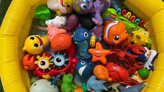 discover ocean animals kids sea animal names fun facts learning