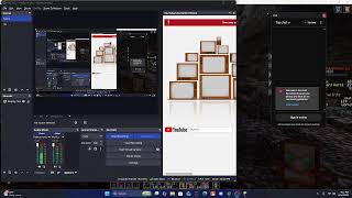 Playing on a minecraft server