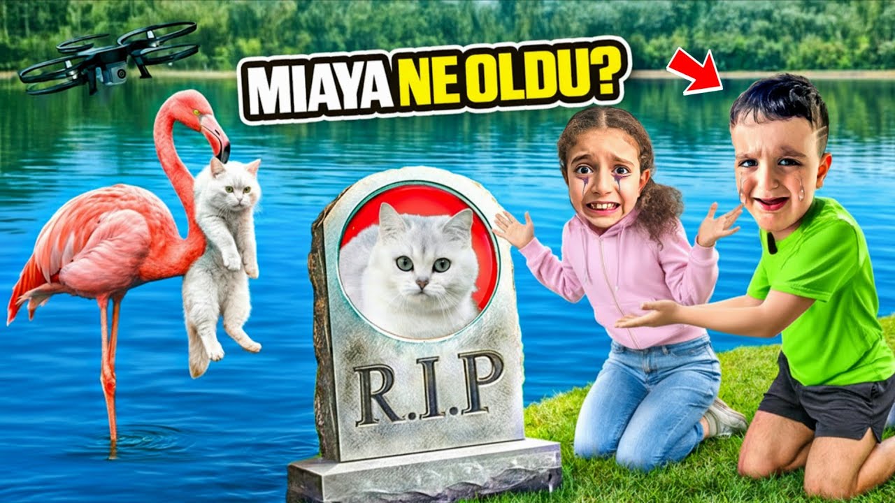 POYRAZ ELİF KAYIP MİA İÇİN SEFERBER OLDU!!MİAYI KİM KAÇIRDI!!