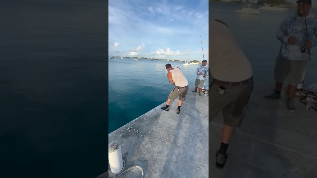 DOCTOR THE FISH VERSION! 😂🎣 