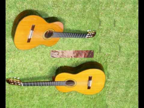 The Good Tempered Guitars by DW Solomons - played by Bruce Paine and Rex Button