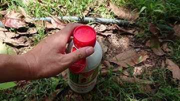 Agrilike. Thuốc Trị Ruồi Vàng Đục Quả Nông Dân Dùng Khen Rất Tốt. Mà Nhiều Người Không Biết Dùng