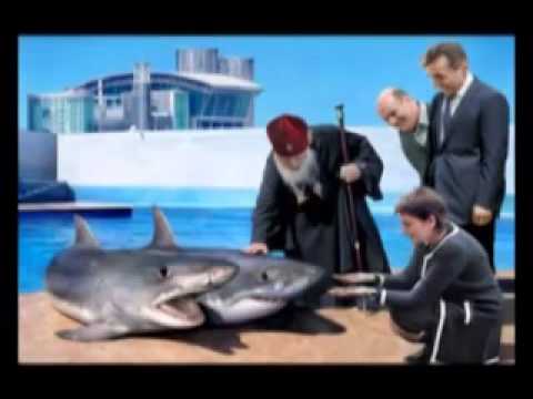 სასწრაფოდ დღემდე უცნობი ვიდეო ქართულ ოცნებაზე