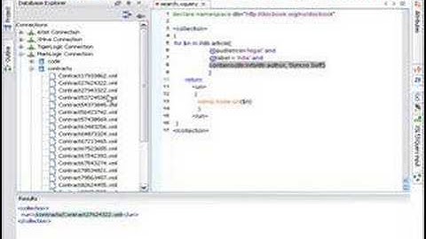 oXygen XML Author and Native XML Databases