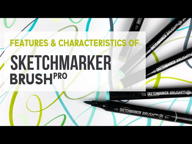 SANJOKI Alcohol Brush Markers 80 colors,Brush & Chisel Dual Tip