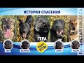 ИСТОРИЯ СПАСЕНИЯ ГЕРЫ И ПРИНЦЕСС ПИZДЮШЕНКО