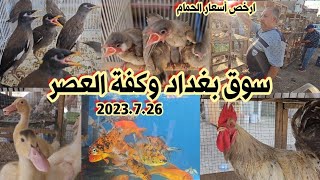 سوق بغداد وكفة العصر أهل الكراتين والخانات لبيع الحيوانات والطيور 2023.7.26