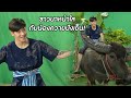 ชาวนาหน้าใส กับน้องควายปังเย็น! | เรียกน้ำย่อย สุภาพบุรุษสุดซอย | 16 พ.ค. 63 | one31