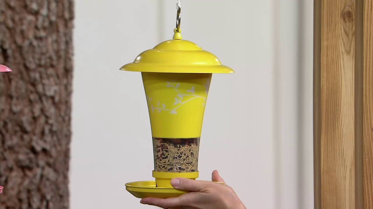 Effortless Birdfeeder With Easy Sliding Refill System On Qvc Youtube