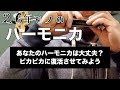 【ハーモニカ】仰天！ハーモニカのリードプレートを交換したらまさかの・・・